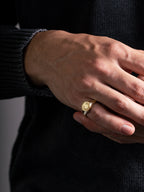 MATERIAL: Prata | Anel Triumph em Ouro