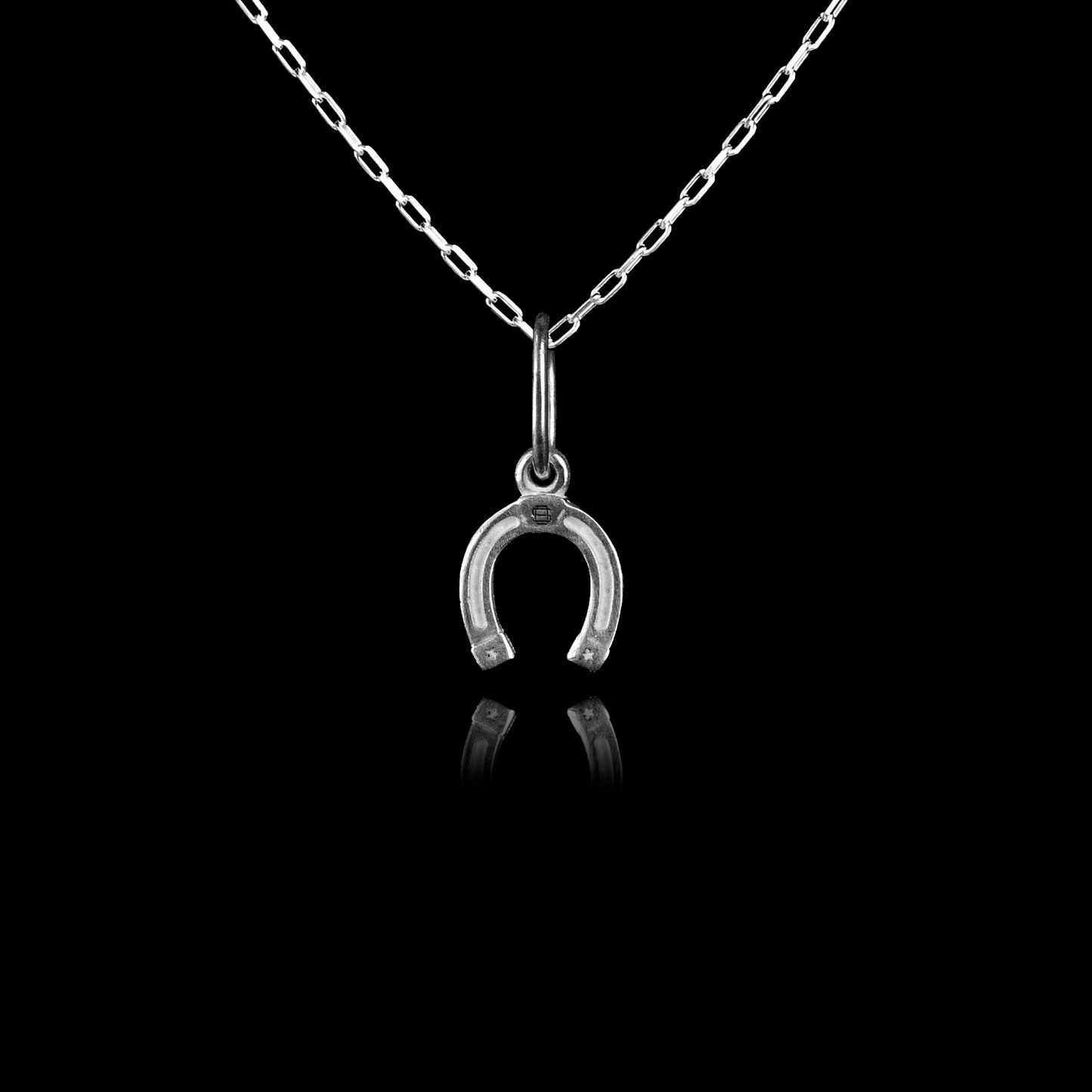 Colar de Prata Fortune Mini