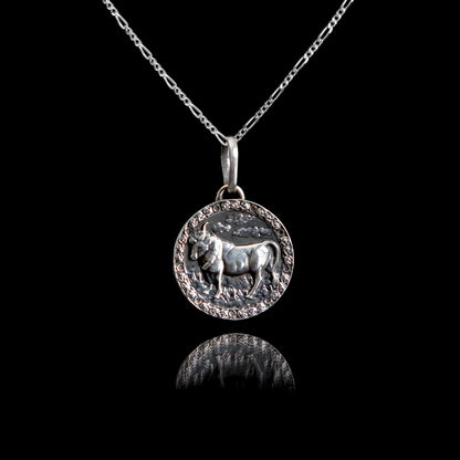 Colar de Prata Taurus Cartier | Old Siller 2