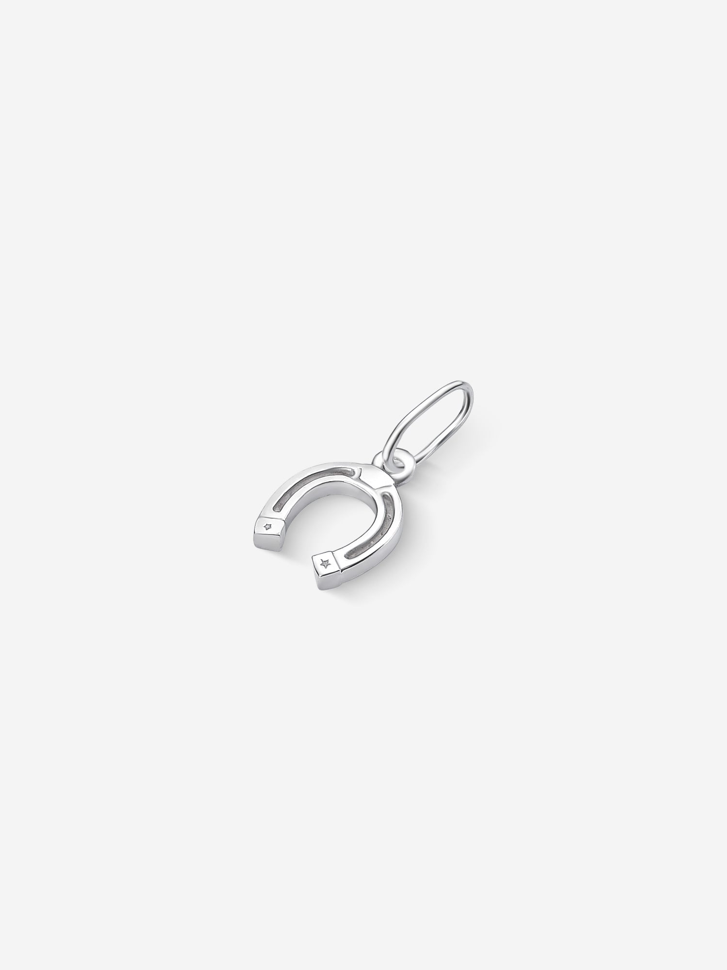 MATERIAL: PRATA | Pingente Fortune Mini em Prata 925