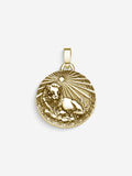 MATERIAL: PRATA BANHADA A OURO | Pingente Leo em Prata 925 banhada a Ouro 18k